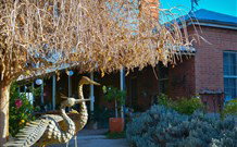 Morvern Valley Farm Stay Cottages - Darwin Holiday 2