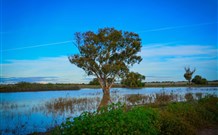 Morvern Valley Farm Stay Cottages - Darwin Holiday 4