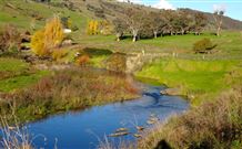 Ralda's Cottage - Darwin Holiday 0