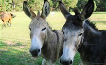 Red Hill Organics Farmstay - Darwin Holiday 5