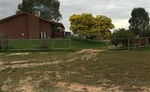 The Art Shack - Darwin Holiday 4