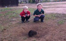 Venterfair Rural Retreat - Darwin Holiday 4