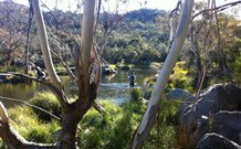 Venterfair Rural Retreat - Darwin Holiday 3