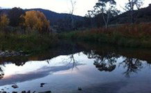 Venterfair Rural Retreat - Darwin Holiday 6