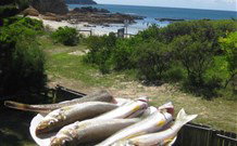 60s Beach House Tomakin - Darwin Holiday 1