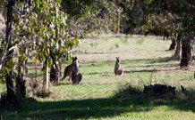 Amazing Country Escapes - Lakeview Luxury Cabins - Darwin Holiday 2