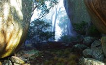 Anketell Forest Cottages - Darwin Holiday 4