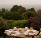 Barefoot Springs Bed and Breakfast - Darwin Holiday
