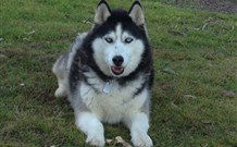 The White House Apartment - Darwin Holiday 7