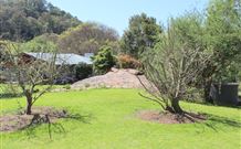 Cedar Grove - - Darwin Holiday 6