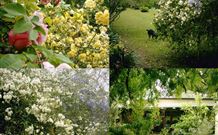 Chauvel Park B And B - Darwin Holiday 1