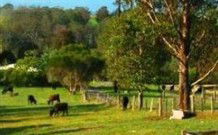Giba Gunyah Country Cottages - Darwin Holiday 0