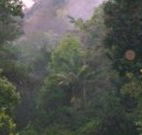 Havans Ecotourist Retreat - - Darwin Holiday