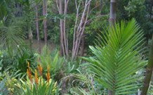 Old Convent River Retreat - Darwin Holiday 1