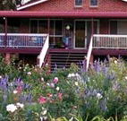 Rose Patch Bed and Breakfast - Darwin Holiday