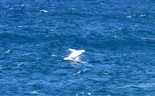 Sea Whispers B And B - Darwin Holiday 2