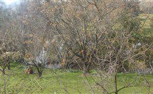 Sheridan B And B - Darwin Holiday 2