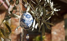 Sol Y Vista - Darwin Holiday 2