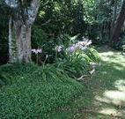 Tallawalla Retreat - Darwin Holiday