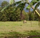 The Watertank Bed and Breakfast - Darwin Holiday
