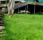 Snowy Valley Resort - Darwin Holiday