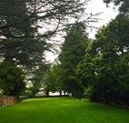 Brigalow Cottage - Darwin Holiday