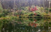 Brigalow Cottage - Darwin Holiday 2