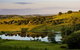 Canowindra Riverview Cottage - thumb 4