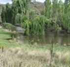 Cedar Grove - Darwin Holiday