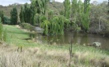 Cedar Grove - Darwin Holiday 0