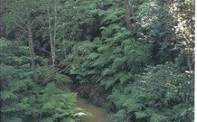 Eco Huts - Jervis Bay Getaways - Darwin Holiday 1