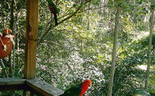 Eco Huts - Jervis Bay Getaways - Darwin Holiday 2