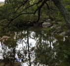 In Essentia Healing Hut of Kangaroo Valley - Darwin Holiday