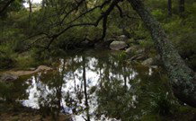 In Essentia Healing Hut Of Kangaroo Valley - Darwin Holiday 0