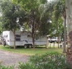 Gum Tree Heaven - Darwin Holiday