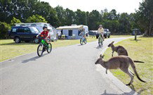 Norman Lindsay Cottage - Darwin Holiday 4