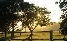 Pebble Bay Cottage - Darwin Holiday 4