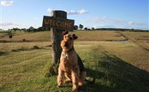 Pebble Bay Cottage - Darwin Holiday 7