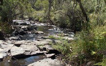 Pinegrove Cottage - Darwin Holiday 4