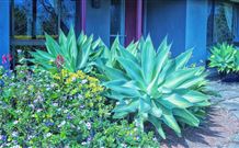 Retreat Homestead - Darwin Holiday 0