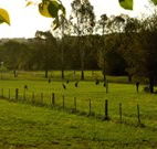 Stone Cottage Mittagong - Darwin Holiday