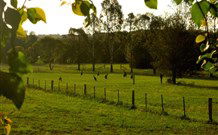 Stone Cottage Mittagong - Darwin Holiday 0
