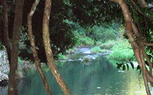 The Dell Blackheath - Darwin Holiday 1