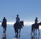 The Hayloft - Darwin Holiday