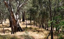 Wagon Wheel Motel And Units - Darwin Holiday 6
