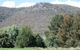 Jessica's Guest House And Vineyard - thumb 3