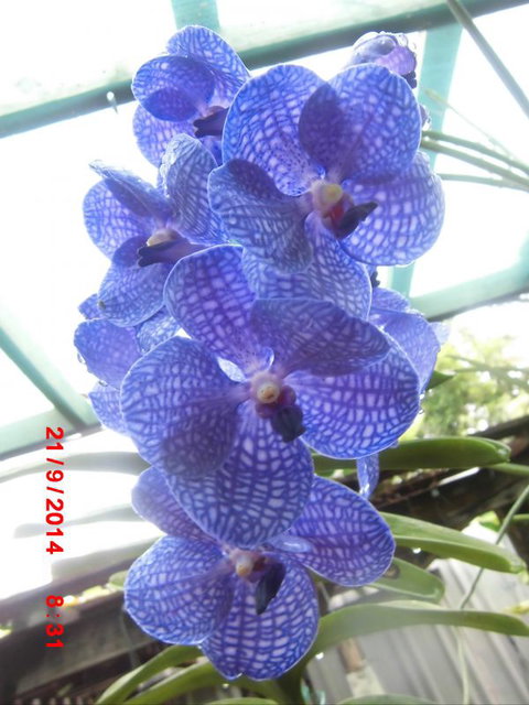 Flying Fish Point Tourist Park - Darwin Holiday 8