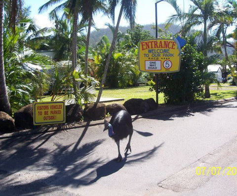 Flying Fish Point Tourist Park - Darwin Holiday 9