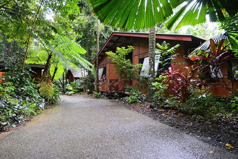 Cape Tribulation  - Darwin Holiday 4
