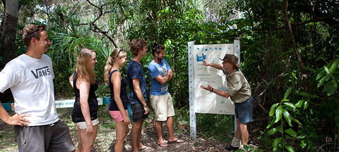Magnetic Island YHA - Darwin Holiday 8